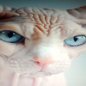 Meet your Posher, June